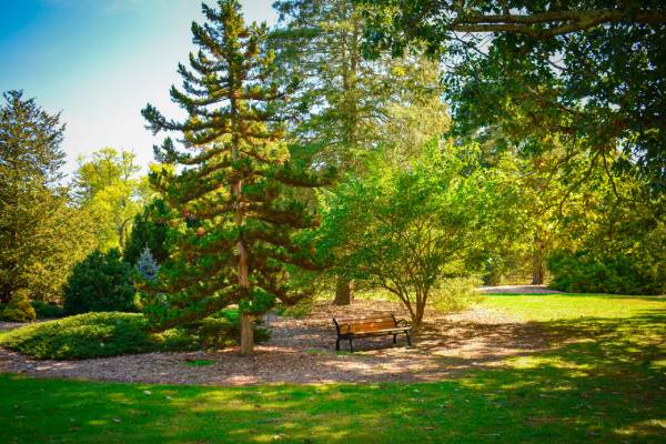 Colonial Park (1)