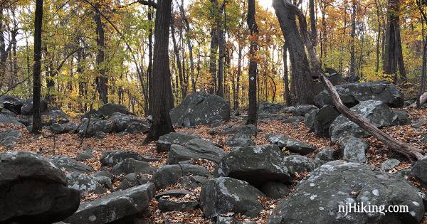 Sourland Mountain Preserve (1)